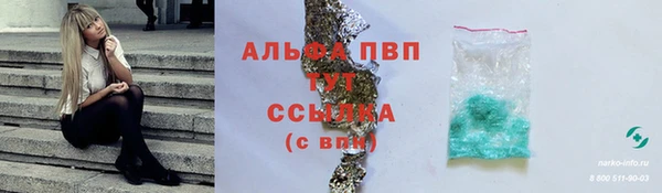 стаф Тавда