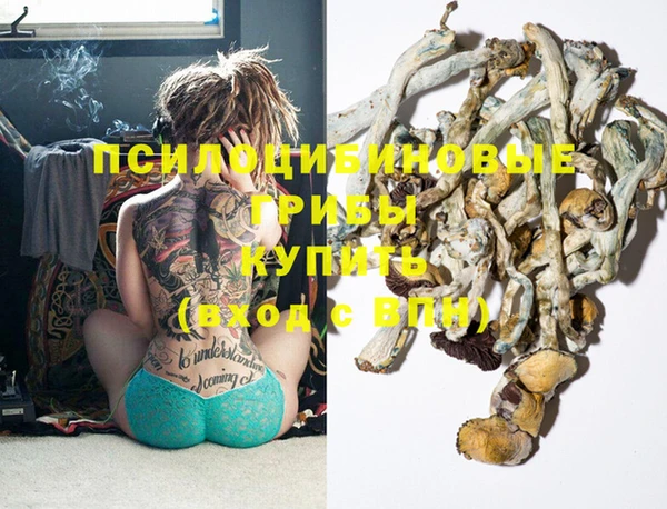 дурь Сясьстрой
