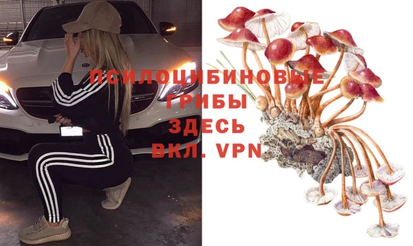 бутират Тайга