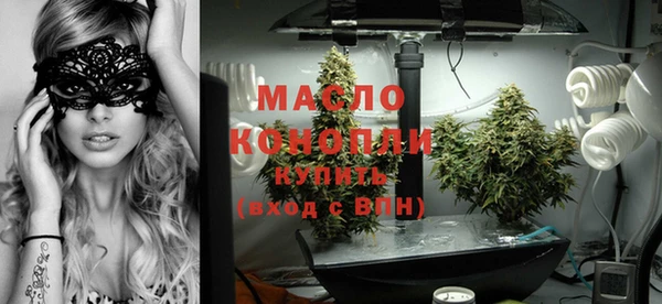 дурь Сясьстрой