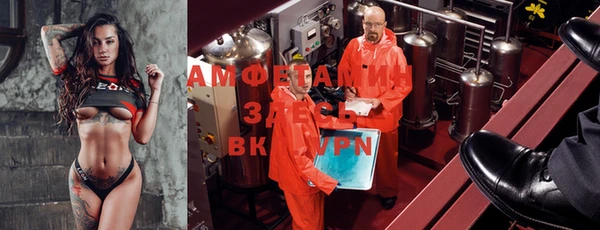 стаф Тавда