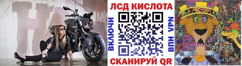 shop какой сайт  KRAKEN ссылки  Наркотические марки 1,8мг  Первомайск  магазин продажи наркотиков 