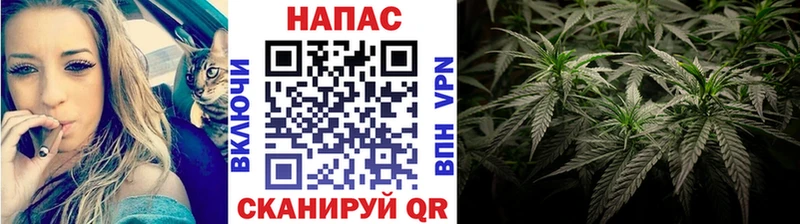 Каннабис OG Kush  Первомайск 